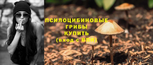 мескалин Пролетарск