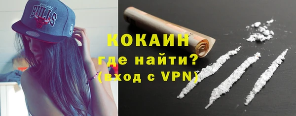 крисы Абаза