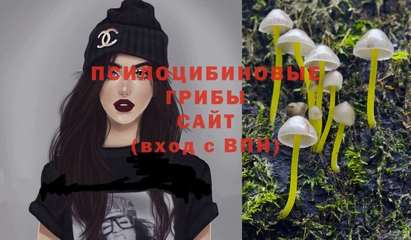 стафф Абинск