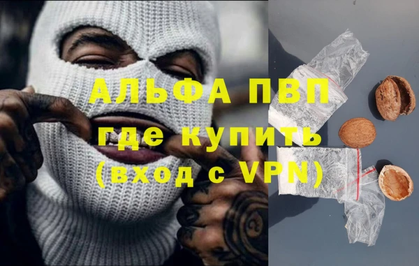 крисы Абаза