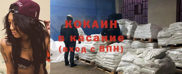 крисы Абаза