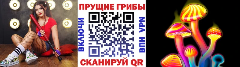 как найти наркотики  OMG ONION  Псилоцибиновые грибы MAGIC MUSHROOMS  Барыш 