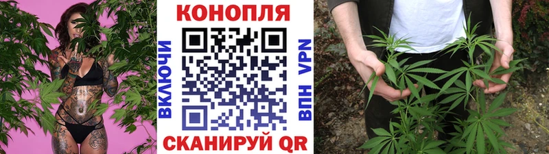 МАРИХУАНА SATIVA & INDICA Барыш
